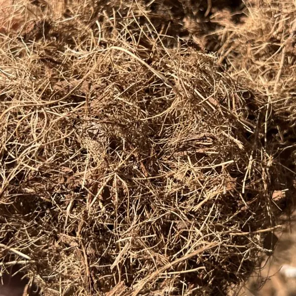 Fibra de coco para uso agrícola